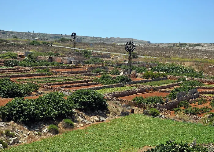 Riviera - Adults Only