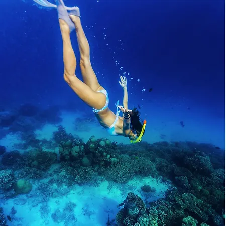 리조트 Riviera - Adults Only